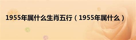 1955年生肖五行